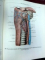 ATLAS OF HUMAN ANATOMY VOL.III 1990(ENGLEZA)-R.D.SINELNIKOV