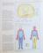 ATLAS OF HUMAN ANATOMY WITH INTEGRATED TEXT, 1985