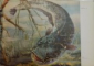 ATLASUL PESTILOR DIN APELE R.P.R. de TH. BUSNITA, I. ALEXANDRESCU , 1963 * PREZINTA HALOURI DE APA
