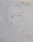 AUGUSTIN COSTINESCU , DESENE , LITOGRAFII , GRAVURI , GUASE , LAVIURI de VIRGIL MOCANU