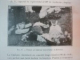 AUSTRO- UNGARII SI FELUL CUM AU FACUT RAZBOIUL IN SERBIA, note luate la fata locului de un neutru - R.A REISS , PARIS 1915