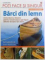 BARCI DIN LEMN   - CU TIPARE IN MARIME NATURALA  - INSTRUCTIUNI SI DESENE  PENTRU CONSTRUCTIA A OPT TIPURI DIFERITE DE BARCI DIN LEMN de GIL GILPATRICK , 2011