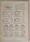 BAU - ENTWURFSLEHRE ( MANUAL ARHITECTULUI ) von ERNST NEUFERT , 1936