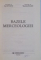 BAZELE MERCEOLOGIEI de ION STANCIU , MARIETA OLARU , 1999 * MINIMA UZURA