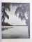 BENEATH SO KIND A SKY - THE SCENIC AND ARCHITECTURAL BEAUTY OF SOUTH CALIFORNIA , photographs by CARL JULIEN , 1986