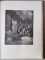 Biblia. Vechiul si Noul Testament de D. Martin Luther cu ilustratii de Gustave Dore, 2 vol. - Stuttgart, 1875