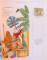 BIBLIA ILUSTRATA PENTRU COPII , ILUSTRATII : ECHIPA SUSAETA , 2010