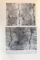 BIOCHIMIA CONTRACTIEI MUSCULARE de MIHAIL SERBAN SI DITA COTARIU , 1970