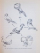 BIOLOGIE GENERALA de NICOLAE BOTNARIUC , 1974