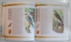 BIRDS OF GREAT BRITAIN AND EUROPE , A BIRD SPOTTER'S GUIDE , TEXT by JIRI FELIX , ILLUSTRATIONS by KVETOSLAV HISEK , 2000