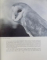 BIRDS OF THE NIGHT by ERICH J. HOSKING and CYRIL W. NEWBERRY  -with a chapter on the eyes and ears of owls by STUART G. SMITH , 1945
