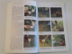 BONSAI , A STEP - BY - STEP GUIDE de CHRISTIAN PESSY IN ASSOCIATION WITH REMY SAMSON , 2007