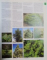 BOTANICA , DAS ABC DER PFLANZEN , 10000 ARTEN IN TEXT UND BILD , 2003