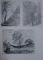 BOUDIN ...THEODORE ROUSSEAU  - L ' OEUVRE GRAVE par MICHEL MELOT  , 1978