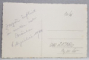 BRAILA , ZARZAR INFLORIT IN CURTEA UNEI CASE , FOTOGRAFIE TIP CARTE POSTALA , MONOCROMA, NECIRCULATA , DATATA APRILIE 1934