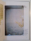 BRANCUSI'S ATTEMPT TO INFINITY de SERBAN C. ANDRONESCU , MICHAEL C. MELCZER , 2004