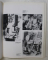 BRAQUE - OUVRES  (1882 - 1963 ) par NADINE POUILLON et ISABELLE MONOD  - FONTAINE , 1982