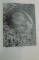 BREHMS TIERLEBEN , IN VIER BANDEN von WALTER RAMMNER , 1956