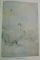 BREHMS TIERLEBEN , IN VIER BANDEN von WALTER RAMMNER , 1956