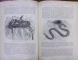 BREHMS - VIATA ANIMALELOR SERPI SI REPTILE Leipzig, Viena, 1892