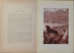BUCOLIQUES ET GEORGIQUES par VIRGILE, ILLUSTRATIONS par F.-M. ROGANEAU