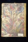 CA FULGU LA VANT- NUVELE SI SCHITE de GEORGE CAIR - BUCURESTI, 1906