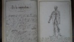 Caiet manuscris, Faculte de Medicine de Paris, Zoologie Medicale, 1861 - 1862