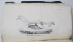 CALENDAR PENTRU BUNUL CULTIVATOR de ION IONESCU DE LA BRAD - BUCURESTI, 1861
