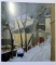 CALIN ALUPI de NICOLAS PETRESCU-ALUPI , 2006