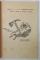 CANTECE DE DRUMETIE , ANII '80 , PARTITURI CU TEXT