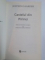 CASTELUL DIN PIRINEI de JOSTEIN GAARDER , 2008