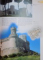 CASTLES AND FORTIFICATIONS FROM AROUND THE WORLD by CHRISTOPHER GRAVETT , 2006