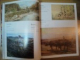 CATALOGUL LICITATIEI DE PRIMAVARA, 20 MARTIE 2013 - ARTMARK