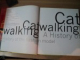 CATWALKING , A HISTORY OF THE FASHION MODEL de HARRIET QUICK