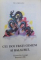 CEI DOI FRATI GEMENI SI BALAURUL de PIUS BRINZEU , coperta si ilustratiile de FELICIA AVRAM  - ANDRASIU , 1985