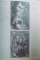 CENTENAR MARCEL IANCU 1895-1995 , 1996 *EDITIE BILINGVA