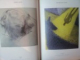 CHILEAN ART CROSSING BORDERS , 2004