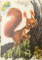 CIOC! CIOC! CIOC! de EMIL GARLEANU , ILUSTRATII de ILEANA CEAUSU-PANDELE , 1971 FORMAT LILIPUT