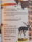 CITESTE IN FIECARE ZI 365 DE CURIOZITATI DESPRE ANIMALE , ILUSTRATII de FRANCISCO ARREDONDO...AVENTINUM