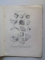 COLECTIUNI PARTICULARE DE ANTICHITATI IN ROMANIA , VOL. I - COLECTIUNEA MARIA ISTRATI - CAPSA de CONST. MOISIL , 1911