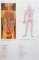 COLOR ATLAS OF ANATOMY , DE JOHANNES W. ROHEN ... ELKE LUTJEN-DRECOLL , 1998