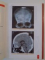 COMPENDIU DE NEUROTRAUMATOLOGIE de DANIL ADAM 2009