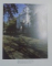 CONFRUNTARI , REPERE ARTISTICE ROMANO - BELGIENE 1800 - 1940 , NOIEMBRIE 1988 - FEBRUARIE 1999