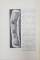 CONTRIBUTIUNI LA STUDIUL RANIRILOR SIMULATE  - TEZA PENTRU DOCTORAT IN MEDICINA SI CHIRURGIE de MELTEDOS PAVLOVICI , 1911