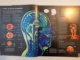 CORPUL UMAN , MANUAL COMPLET , GHID ILUSTRAT DE ANATOMIE , FIZIOLOGIE SI AFECTIUNI ALE ORGANISMULUI de STEVE PARKER , CUVANT INAINTE , PROFESOR ROBERT WINSTON , 2014