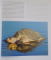 COSTA RICA de SERGIO PUCCI GOLCHER , TEXTOS de CATHERINE KEOGAN , 2011