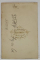 CRAIOVA , FOTOGRAF JUL . UDVARDY , DOAMNA IN STUDIO , FOTOGRAFIE C.D.V. , A  DOUA JUMATATE A SEC. XIX