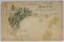 CRAIOVA , STUDIO D. HEITLER , PORTRETUL UNUI BARBAT , FOTOGRAFIE CABINET , SFARSITUL SEC. XIX