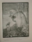 CRINUL VIETII, POVESTE de A.S. REGALA PRINCIPESA MARIA, VERSIUNE ROMANEASCA de ELENA PERTICARI DAVILA, BUC. 1913