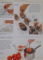 CUISINE EN IMAGES , LES POISSONS par ANNE WILLAN , 1994